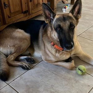 Meet your Posher, Nicholas